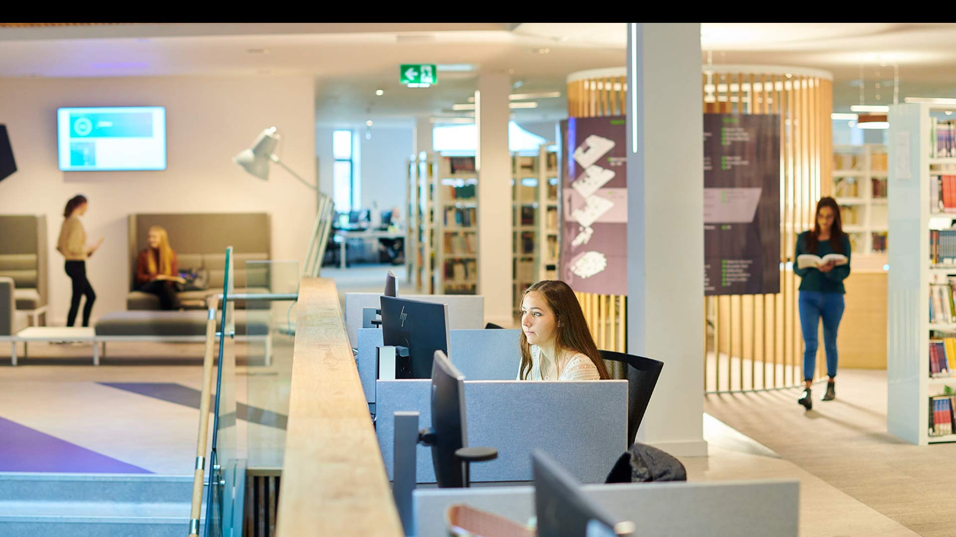 Student studying at a computer in the library