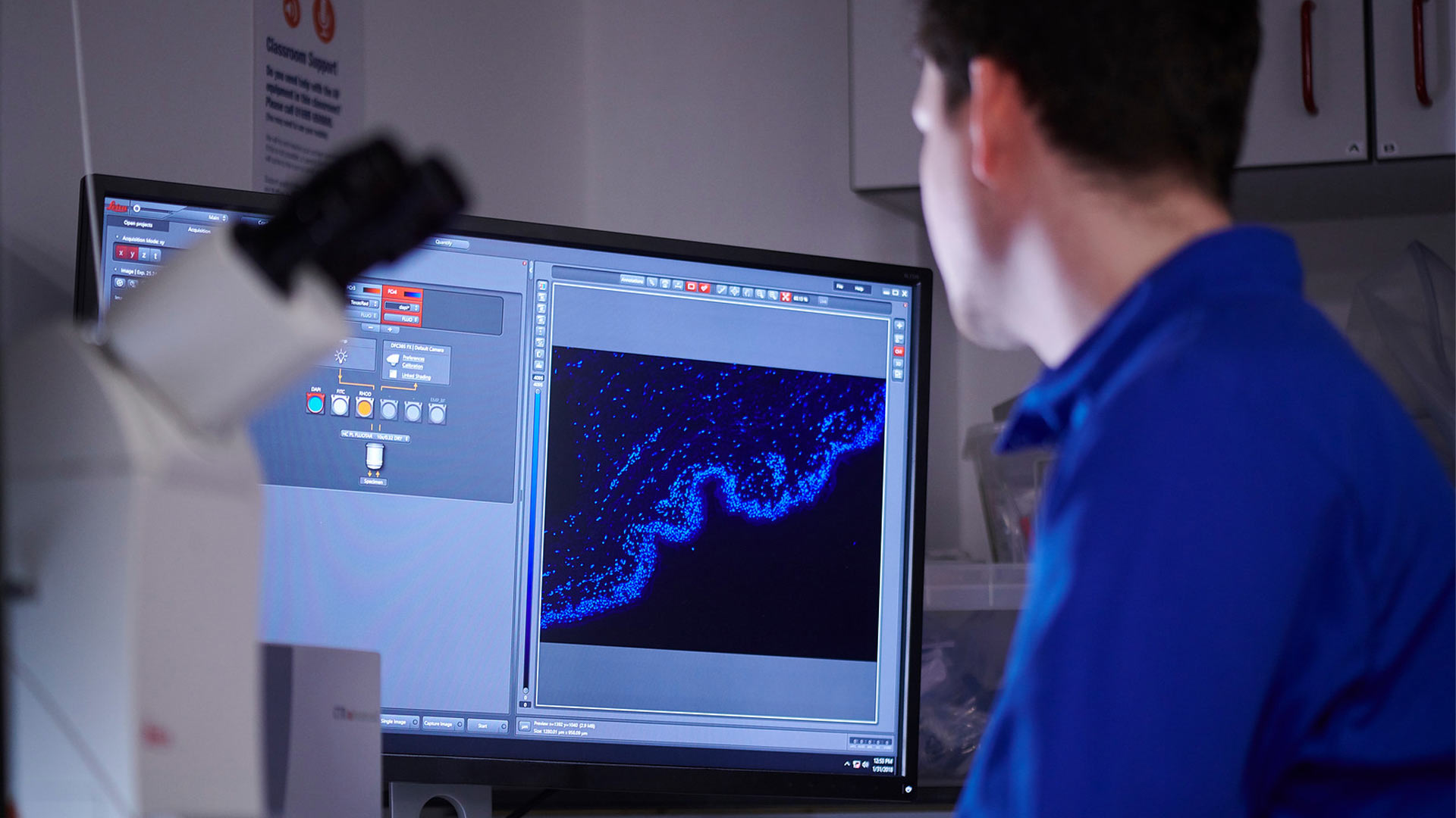 A Biosciences student looks at data on a computer screen