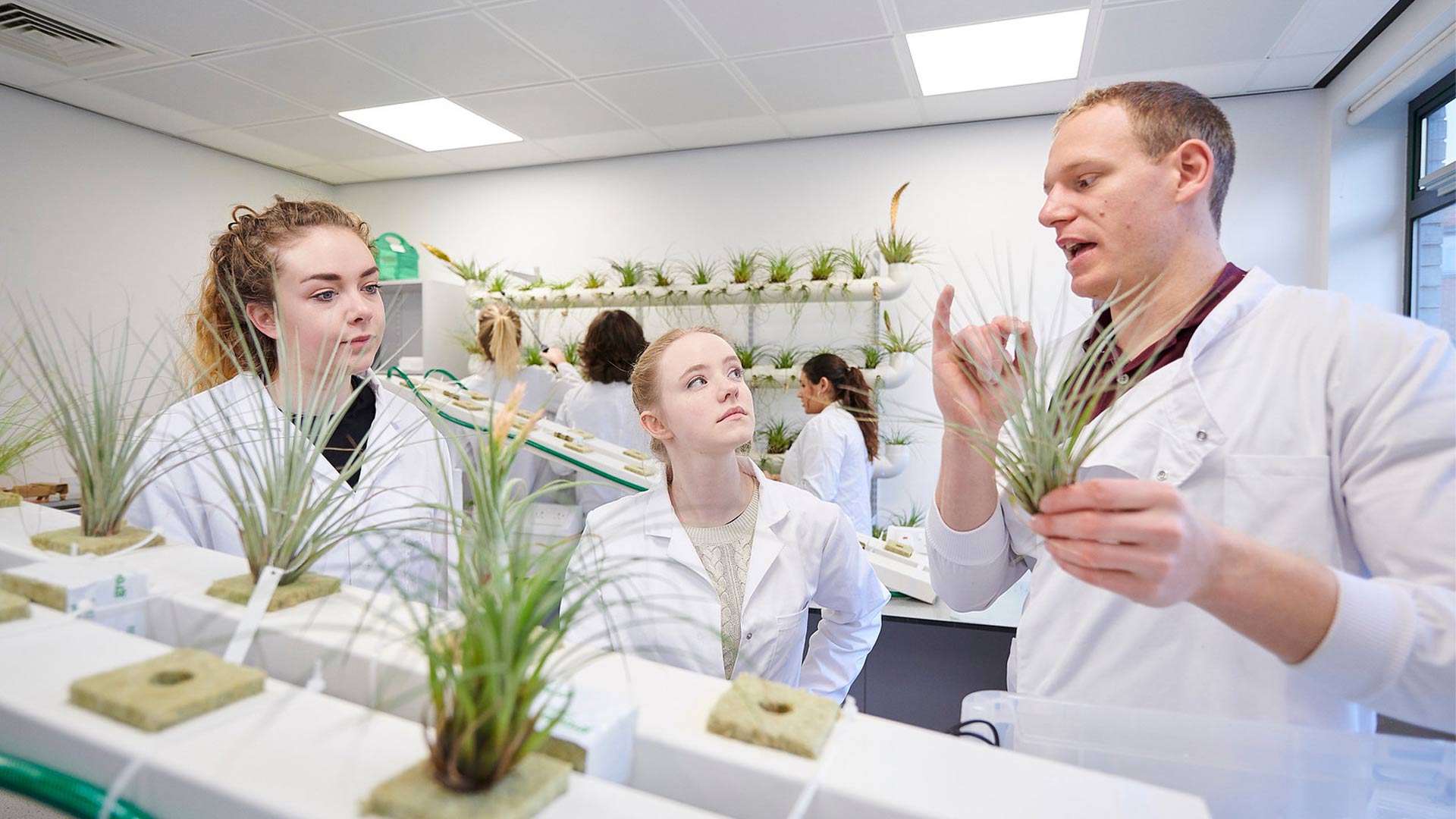 Plant Science students conduct research in a Biosciences laboratory