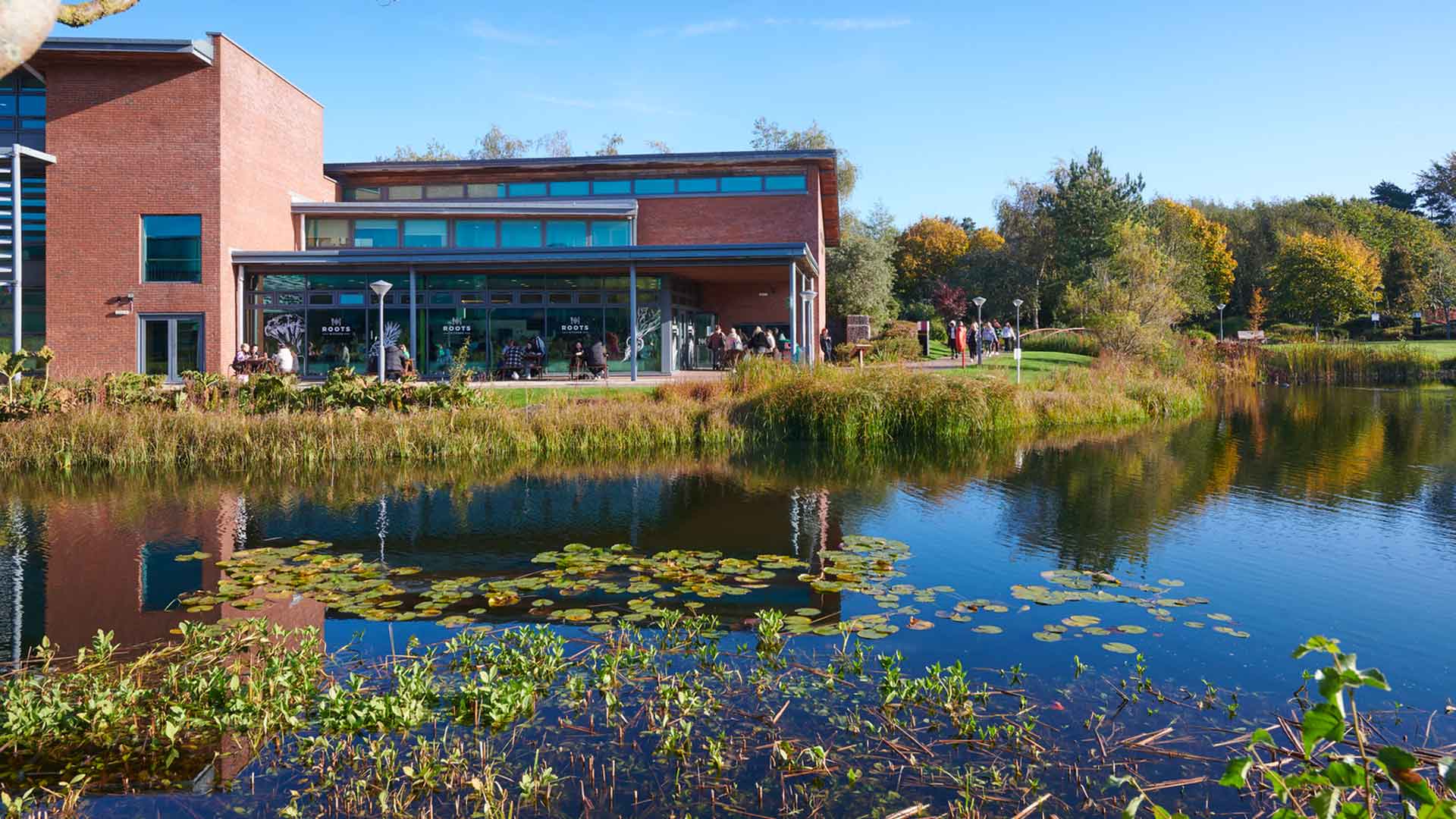 One of our many lakes on campus in front of the Faculty of Education building.