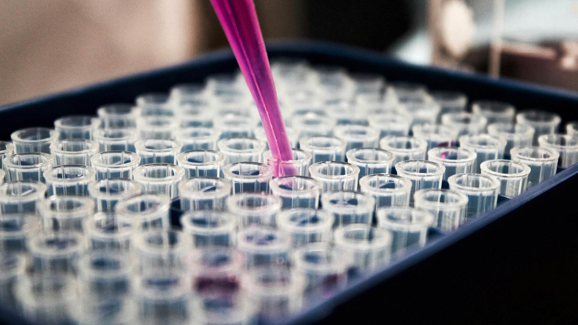 Rows of vials are lined up with a pipette containing pink liquid hovering above.